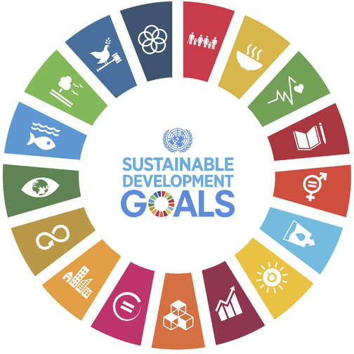 Systemic ESG Solutions - Sustainable Development Goals